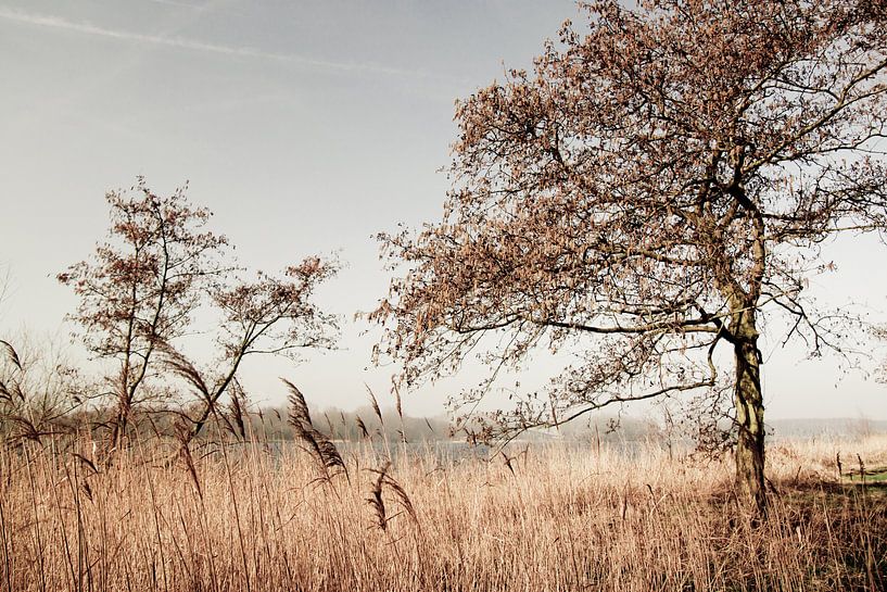 Natuurlandschap Amsterdam von M.e. Amrani