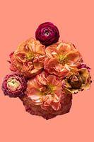 Perfectly Imperfect - with a touch of salmon