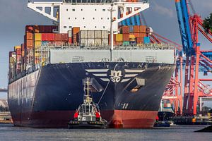 Les porte-conteneurs - des géants de la logistique