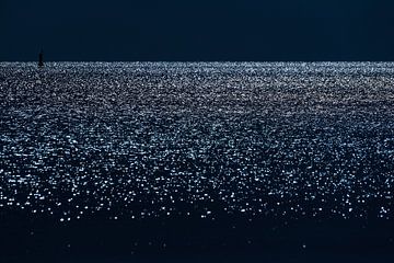 Paillettes de l'Escaut occidental sur Sandy Spaenhoven Photography