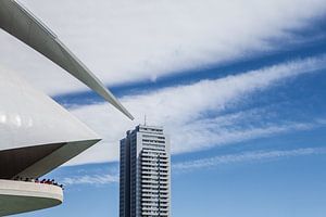 Palau des artes Reina sofia à Valence