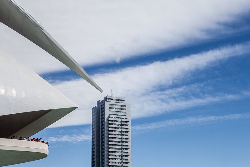 Palau des artes Reina sofia à Valence par Eric van Nieuwland