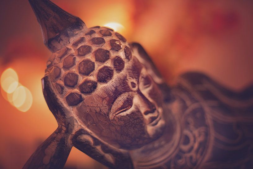 Buddha beeld by Robert van Hall
