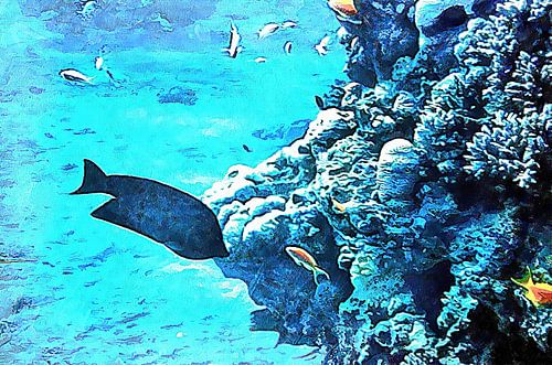 Groupe de poissons et de coraux 6