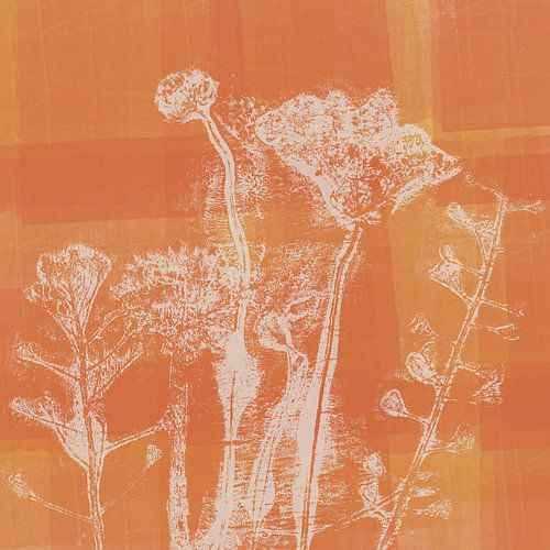 Art botanique. Fleurs en blanc et orange corail.