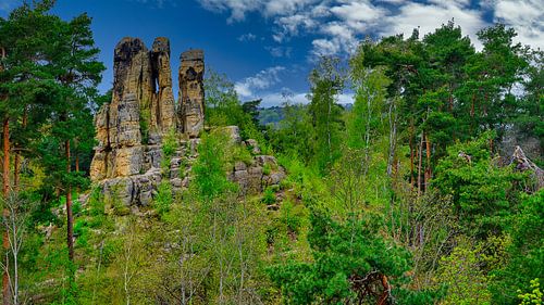 A view of the Klusfelsen in the Harz Mountains
