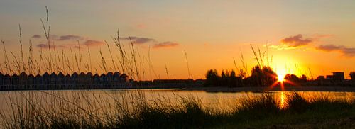 Zonsondergang in Houten Rietplas