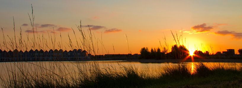 Zonsondergang in Houten Rietplas von fotogevoel .nl