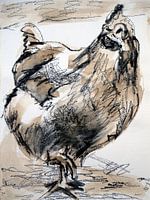 Huhn, (13)