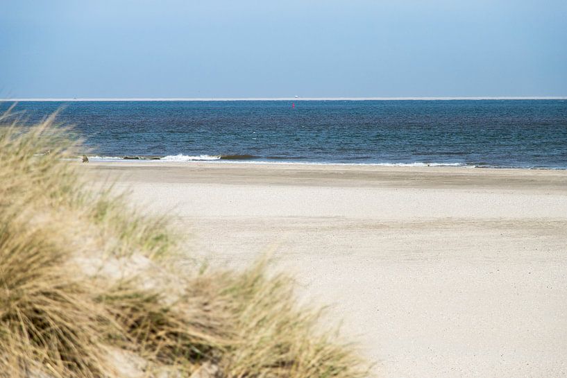 Strand by Wendy Bierings