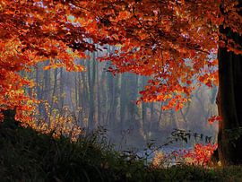 River Inn by Ilona Picha-Höberth