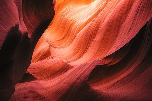 Des vagues gracieuses sur Loris Photography