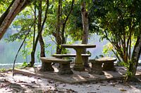 Zen under the trees