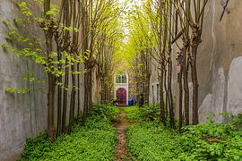 The Remonstrantse Poortje by Rinus Lasschuyt Fotografie