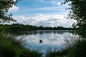 Nationalpark Fochteloërveen