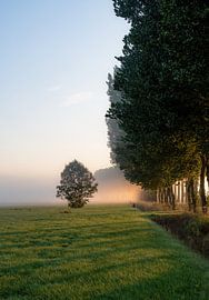 Landleben Teil 33 von Tania Perneel