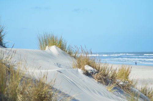 Strand Ameland