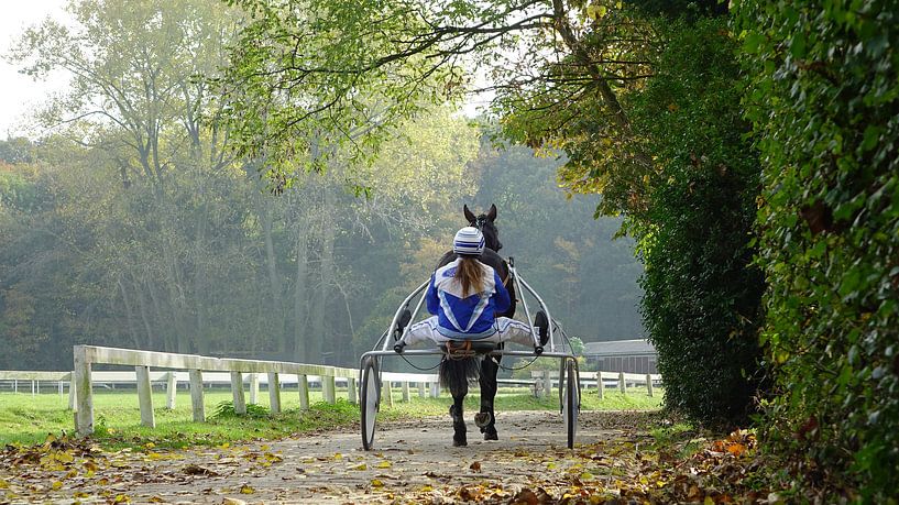 To the Racetrack van Harry Hadders