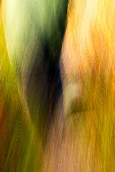 colour fall of nature. by SO fotografie