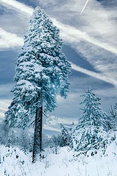 Winter in het Erzgebirge van Johnny Flash