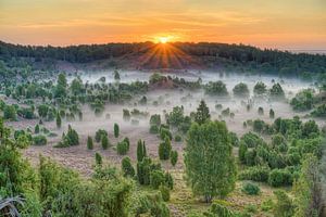 Sunrise over the Totengrund in the Lüneburger Heide