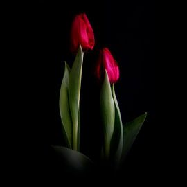 ein junges Paar #007