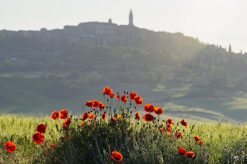 Sonnenaufgang bei Pienza in der Toskana von Walter G. Allgöwer