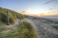 Dunes et plage sur la côte des Pays-Bas par Dirk van Egmond Aperçu