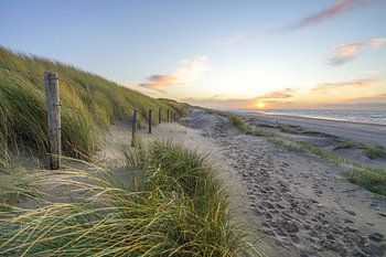 Dunes et plage sur la côte des Pays-Bas