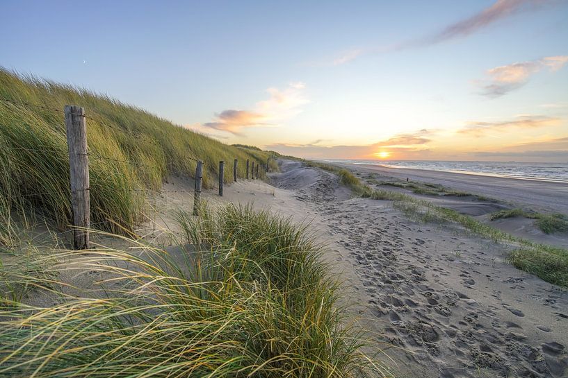 Dunes et plage sur la côte des Pays-Bas par Dirk van Egmond