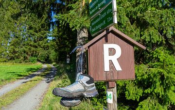 Chaussures de randonnée au poteau indicateur dans la forêt de Thuringe, Rennsteig sur Animaflora PicsStock