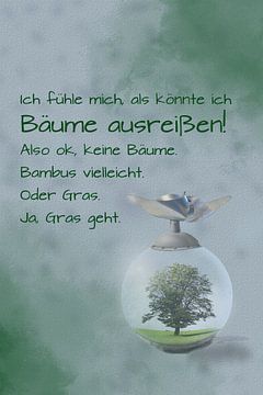 Spruch 4 von Christiane Calmbacher