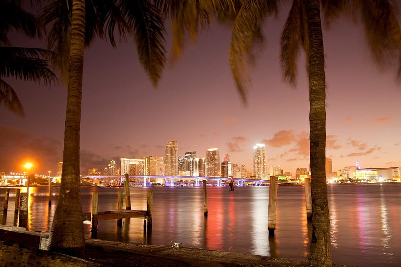 Skyline of Downtown Miami, Florida by Peter Schickert