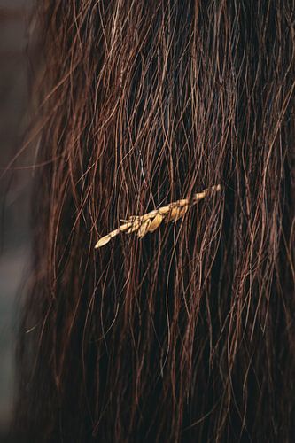 Kunstfotografie eines Pferdeschwanzes mit Maserung