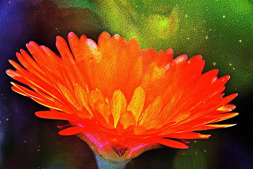een oranje ijsbloem mixed media van Werner Lehmann