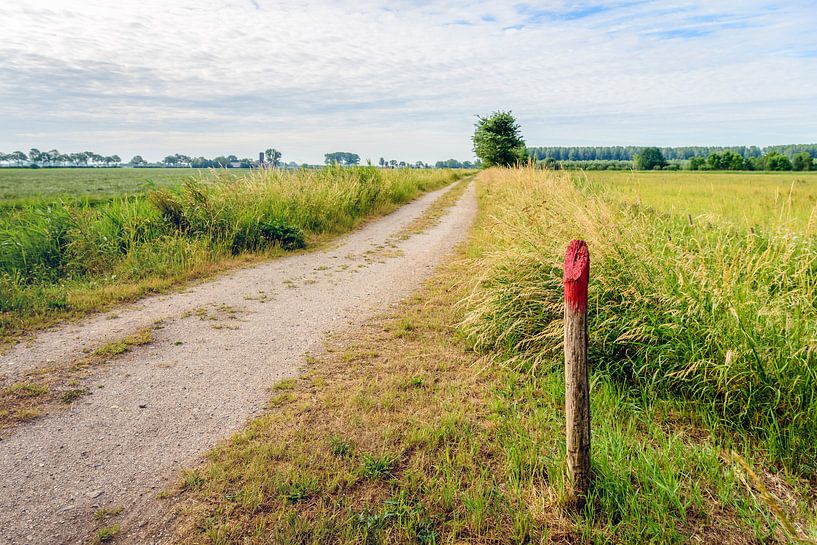 Houten paal naast zandpad by Ruud Morijn