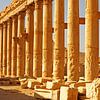 Die Säulen von Palmyra – Ewigkeit in Stein von WeltReisender Magazin