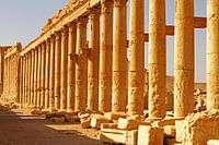 Die Säulen von Palmyra – Ewigkeit in Stein