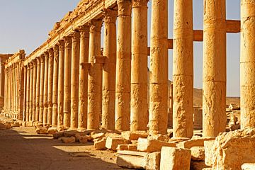 Palmyra in Syrië: Fascinerende columns van Ingo Paszkowsky