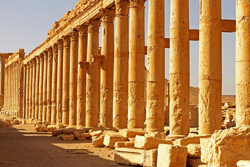 Die Säulen von Palmyra – Ewigkeit in Stein von WeltReisender Magazin