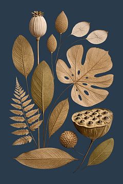 Dried natural shapes with deep blue contrast by Max Steinwald