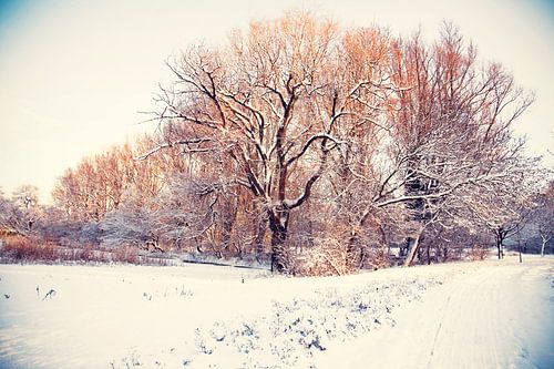 winter park ( Rijswijk) 