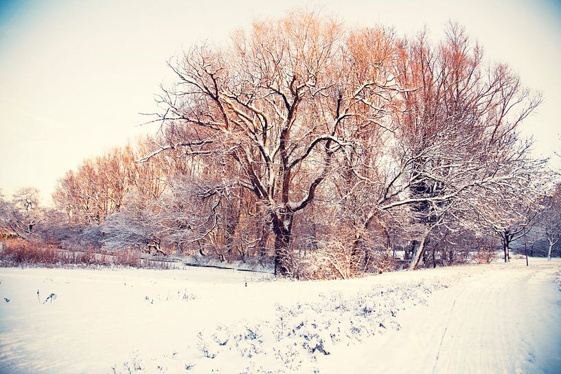 winter park ( Rijswijk)  van Ariadna de Raadt-Goldberg