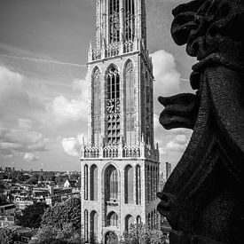 Blik op de Dom van Sander Peters