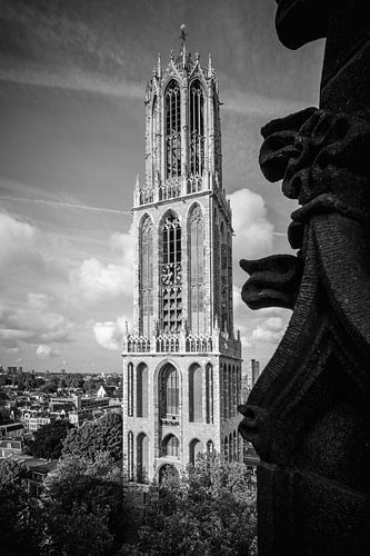 Blik op de Dom van Sander Peters
