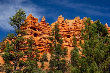 Red Canyon, Utan, USA