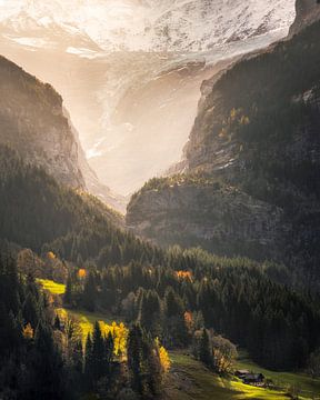 Golden Light in Valley, Switzerland: Enchanting Mountain Views and Dense Forest in autumn van Arda Acar