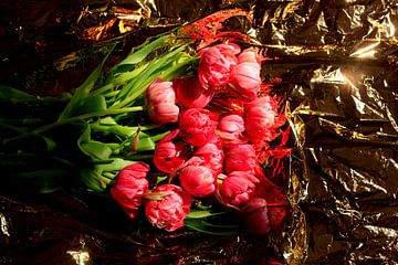 Gevulde tulpen van Thomas Jäger