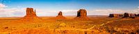 Panorama wijds landschap Monument Valley in Arizona USA van Dieter Walther thumbnail
