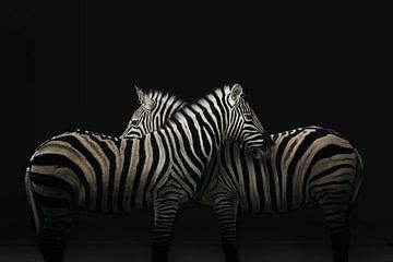 True zebra love van Elianne van Turennout